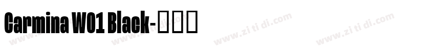 Carmina W01 Black字体转换